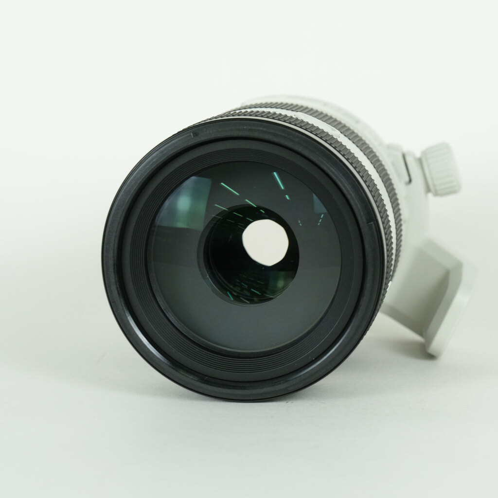 SONY FE70-200mm F4 Macro G OSS II SEL70200G2