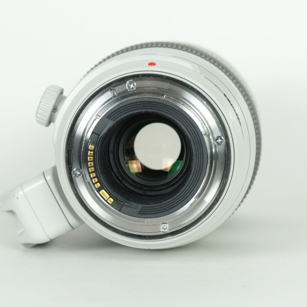 Canon EF100-400mm F4.5-5.6L IS II USM