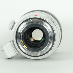 Canon EF100-400mm F4.5-5.6L IS II USM