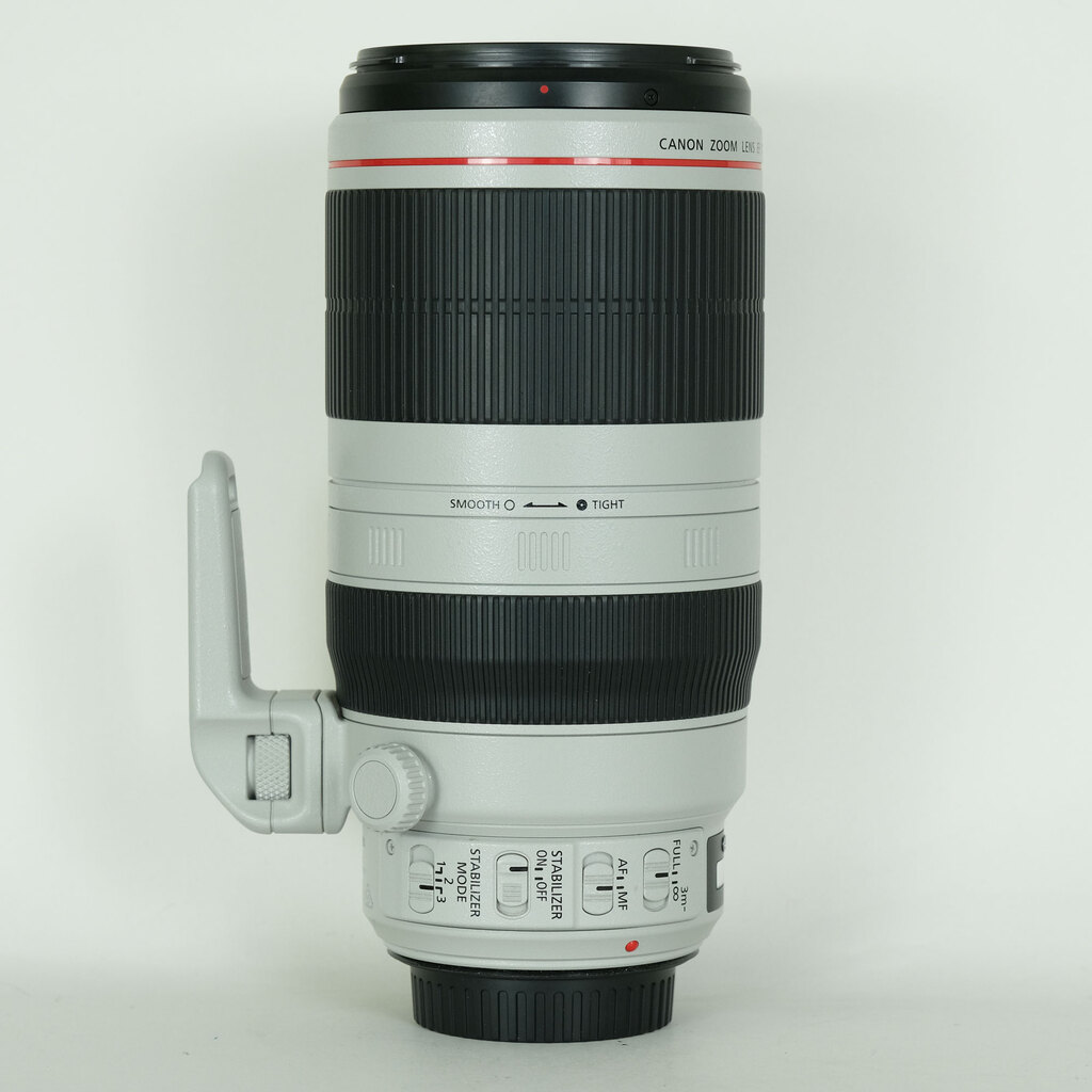 Canon EF100-400mm F4.5-5.6L IS II USM