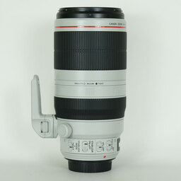Canon EF100-400mm F4.5-5.6L IS II USM
