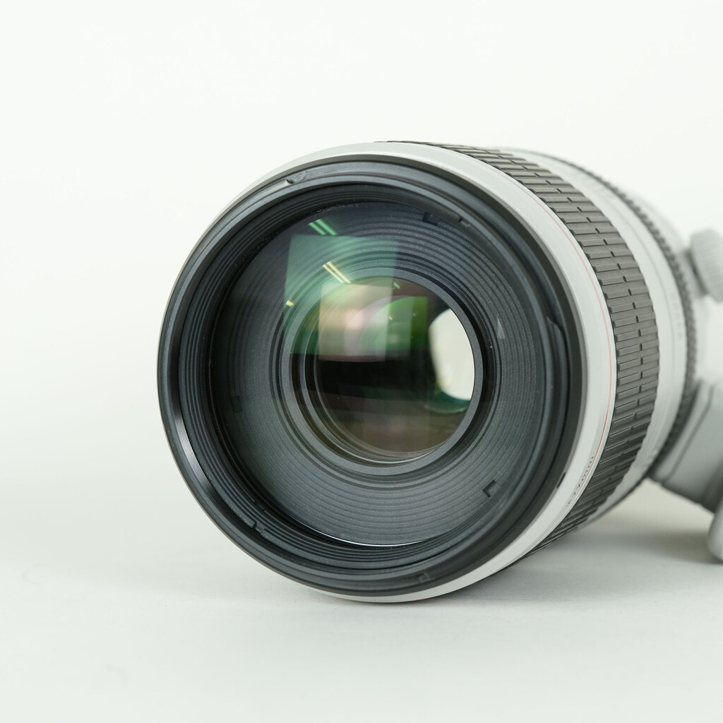 Canon EF100-400mm F4.5-5.6L IS II USM