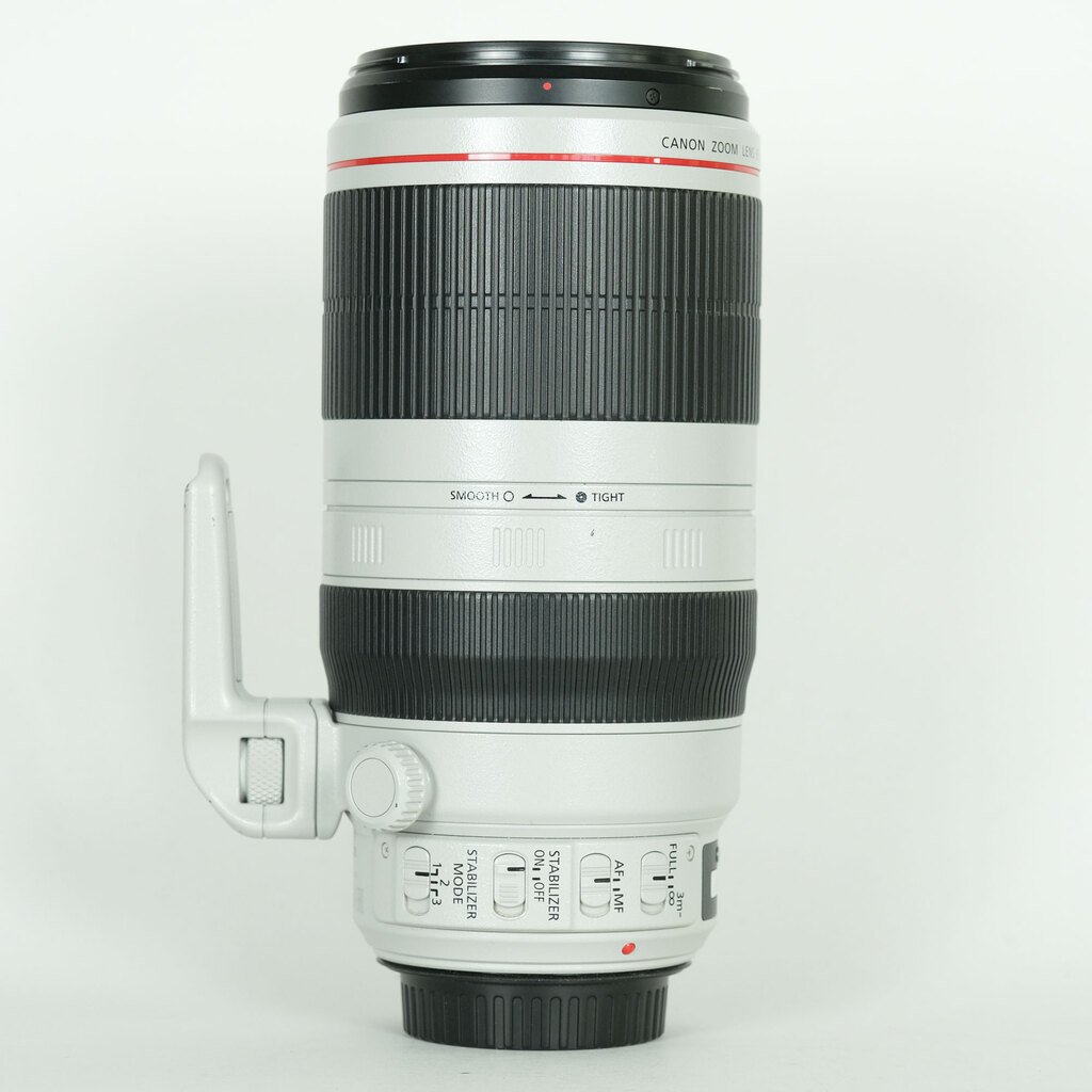 Canon EF100-400mm F4.5-5.6L IS II USM