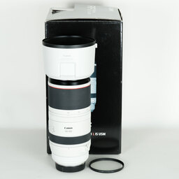 Canon RF100-500mm F4.5-7.1L IS USM