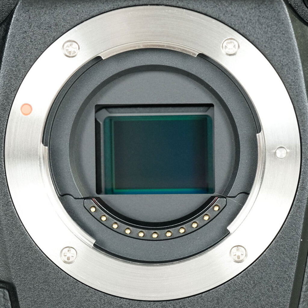 OM SYSTEM OM-1 Mark II