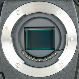 OM SYSTEM OM-1 Mark II