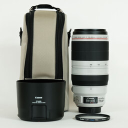 Canon EF100-400mm F4.5-5.6L IS II USM
