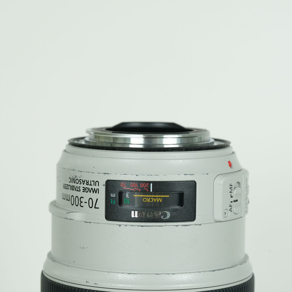 【動作確認済み】Canon EF 70-300mm IS USM 超望遠レンズ Canon EF70-300mm F4-5.6L IS USMの出品 | ONE SCENE（ワンシーン）