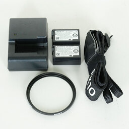 SONY Cyber-shot DSC-RX10M3