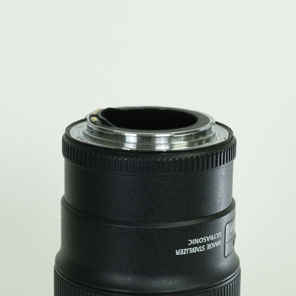 Canon EF100mm F2.8Lマクロ IS USM