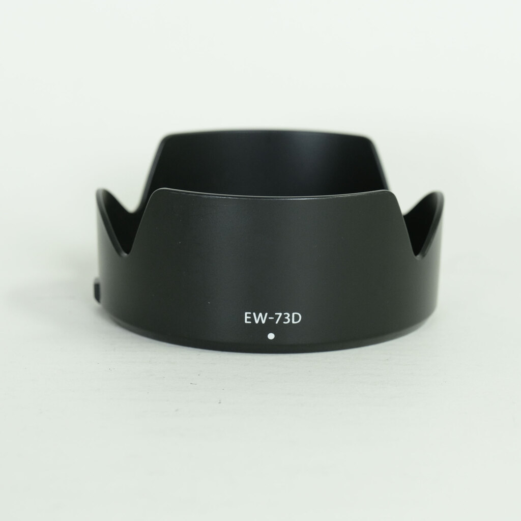 Canon RF24-105mm F4-7.1 IS STM