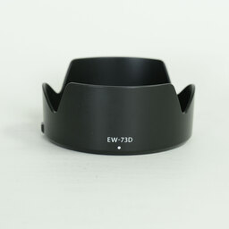 Canon RF24-105mm F4-7.1 IS STM