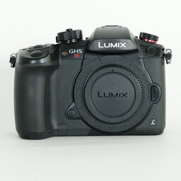 Panasonic LUMIX DC-GH5S Panasonic LUMIX DC-GH5S