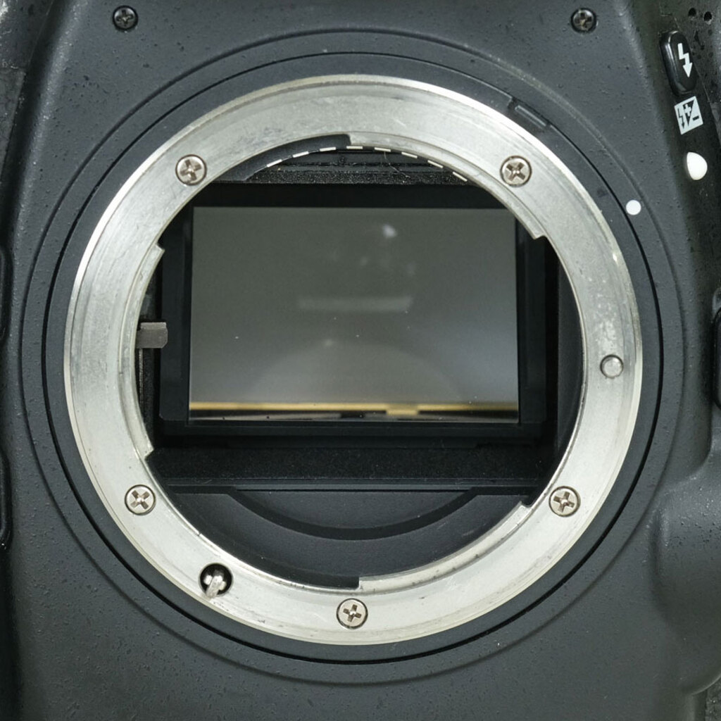 Nikon D800E