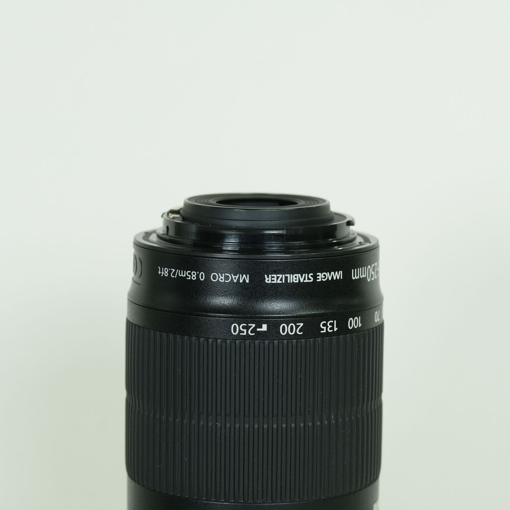 Canon EF-S55-250mm F4-5.6 IS STM