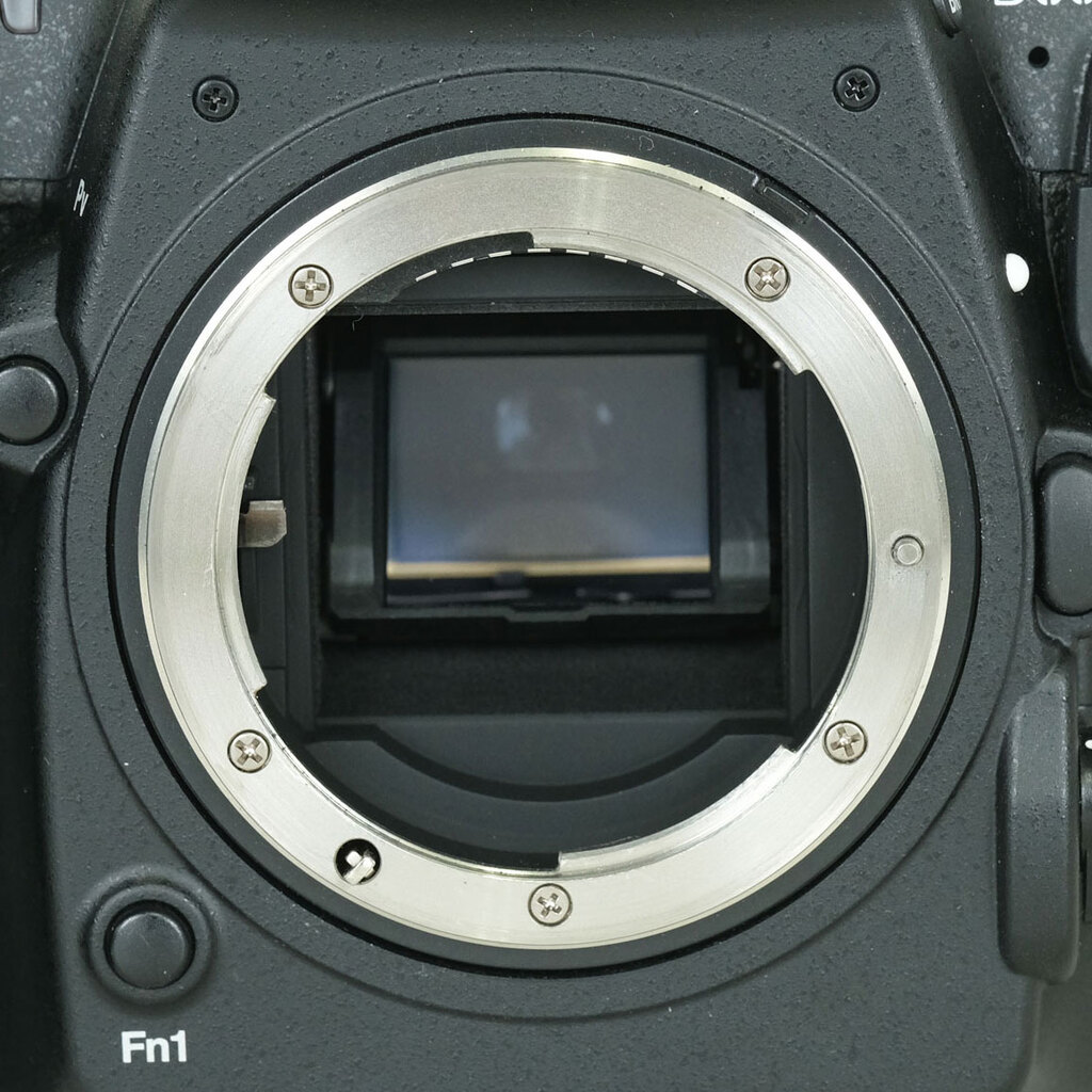 Nikon D500