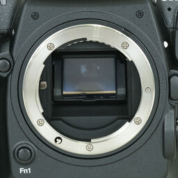 Nikon D500