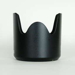 PENTAX DA★ 60-250mm F4ED [IF] SDM