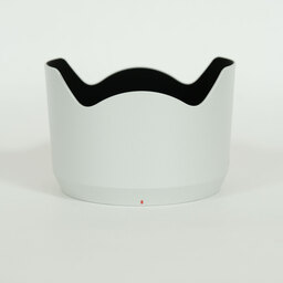 SONY FE70-200mm F4 Macro G OSS II SEL70200G2