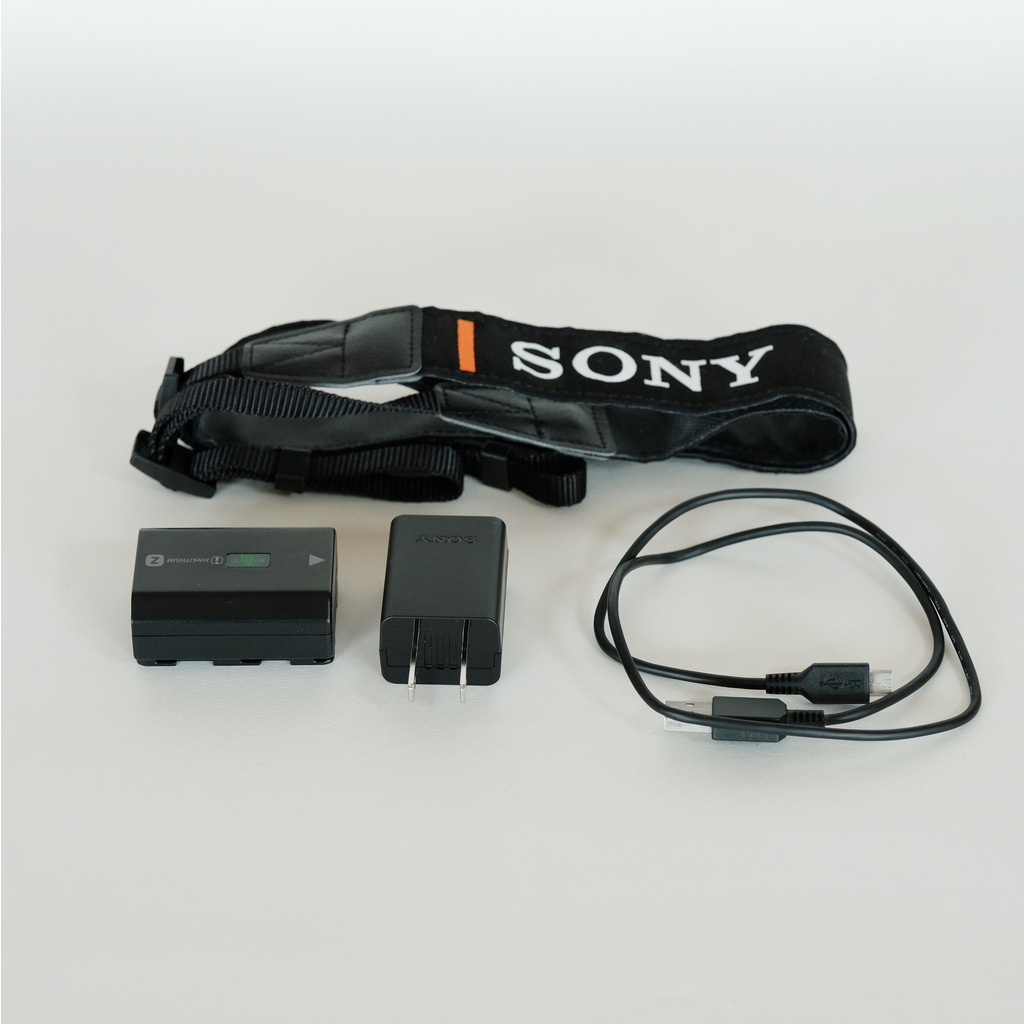 SONY α6600（ILCE-6600）