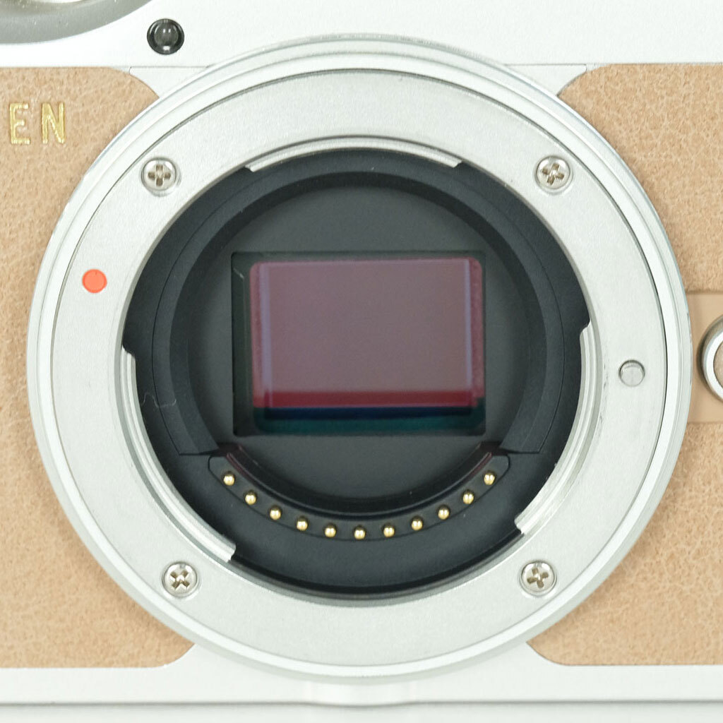 OLYMPUS PEN E-PL9