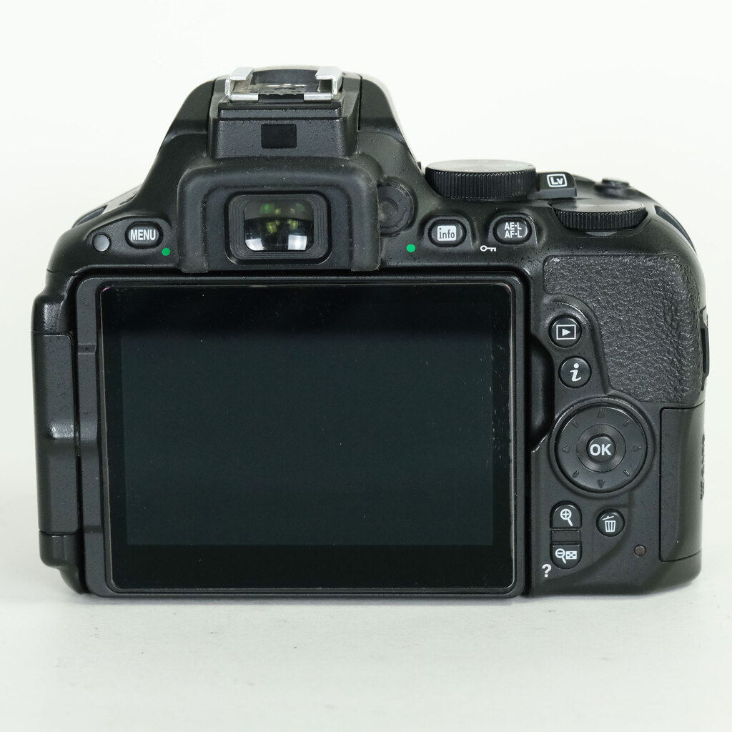 Nikon D5500