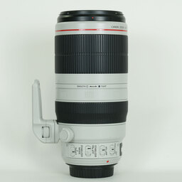 Canon EF100-400mm F4.5-5.6L IS II USM