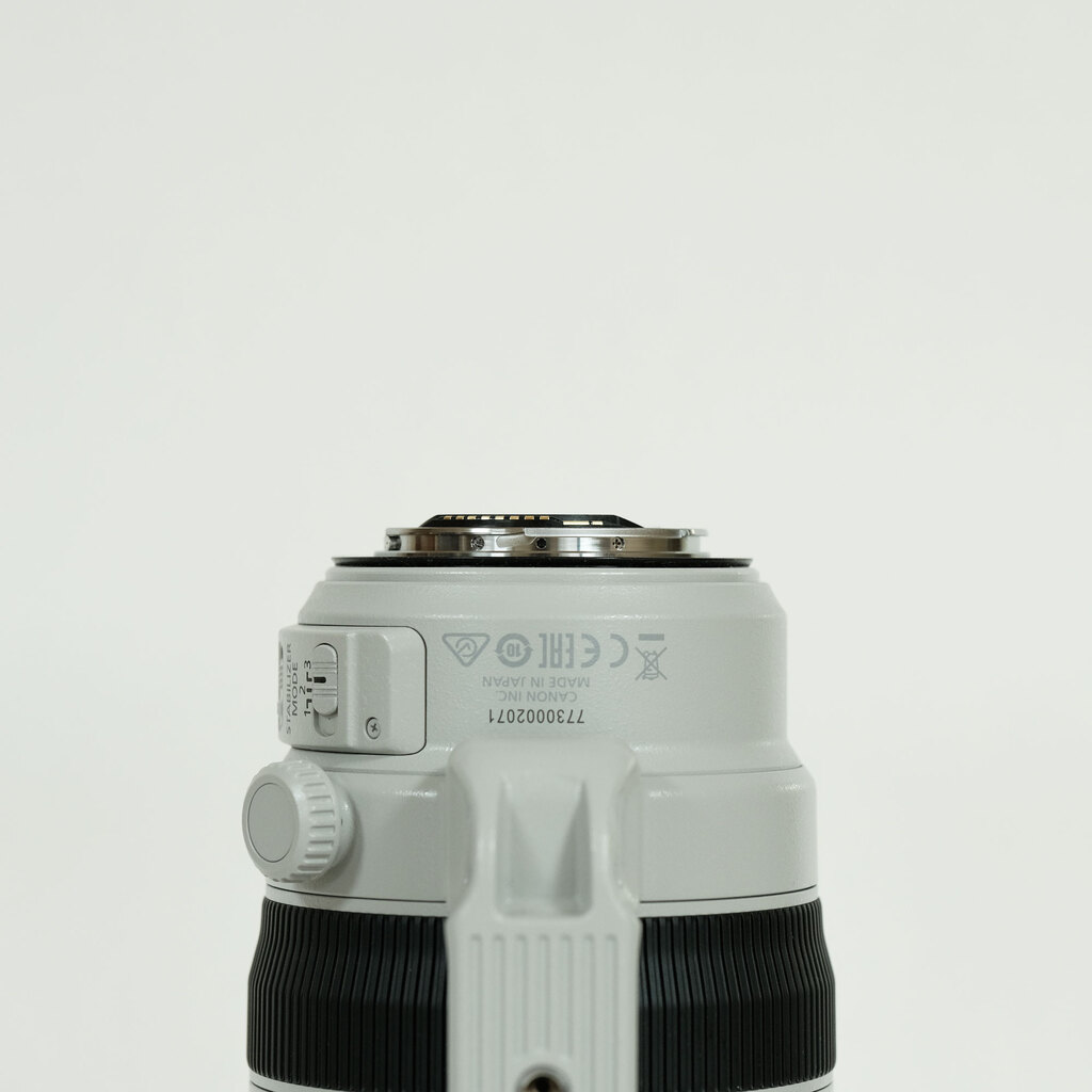 Canon EF100-400mm F4.5-5.6L IS II USM