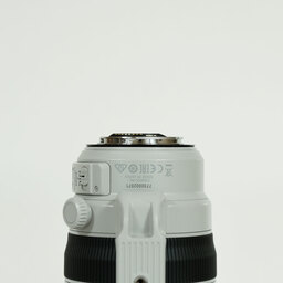 Canon EF100-400mm F4.5-5.6L IS II USM