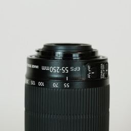 Canon EF-S55-250mm F4-5.6 IS STM