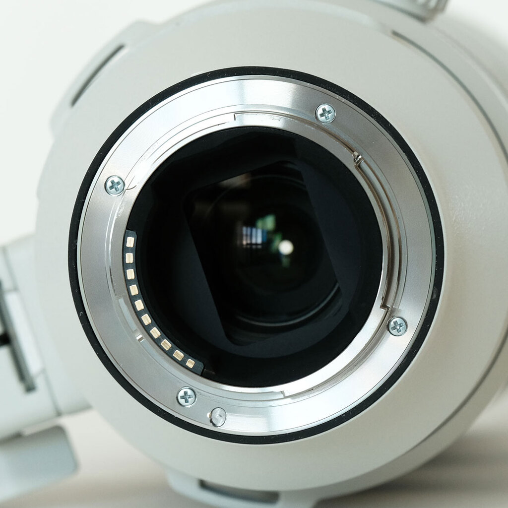 SONY FE 200-600mm F5.6-6.3 G OSS SEL200600G