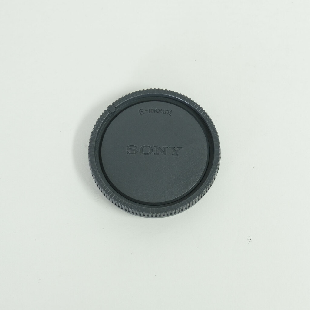 SONY FE 24-105mm F4 G OSS SEL24105G