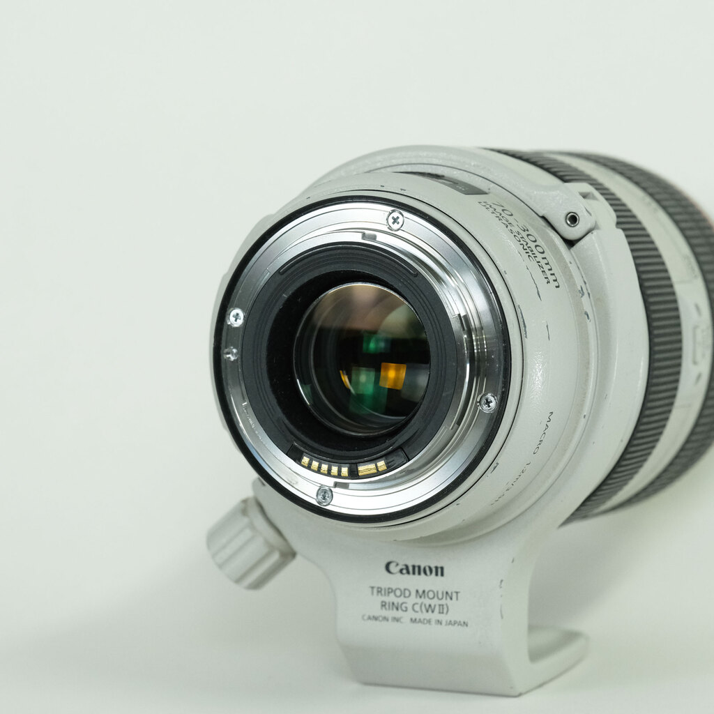 Canon EF70-300mm F4-5.6L IS USM