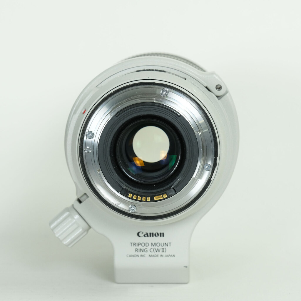 Canon EF70-300mm F4-5.6L IS USM