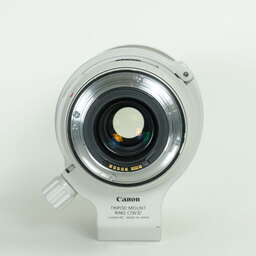 Canon EF70-300mm F4-5.6L IS USM