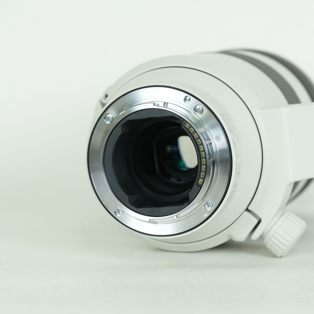 SONY FE70-200mm F4 Macro G OSS II SEL70200G2