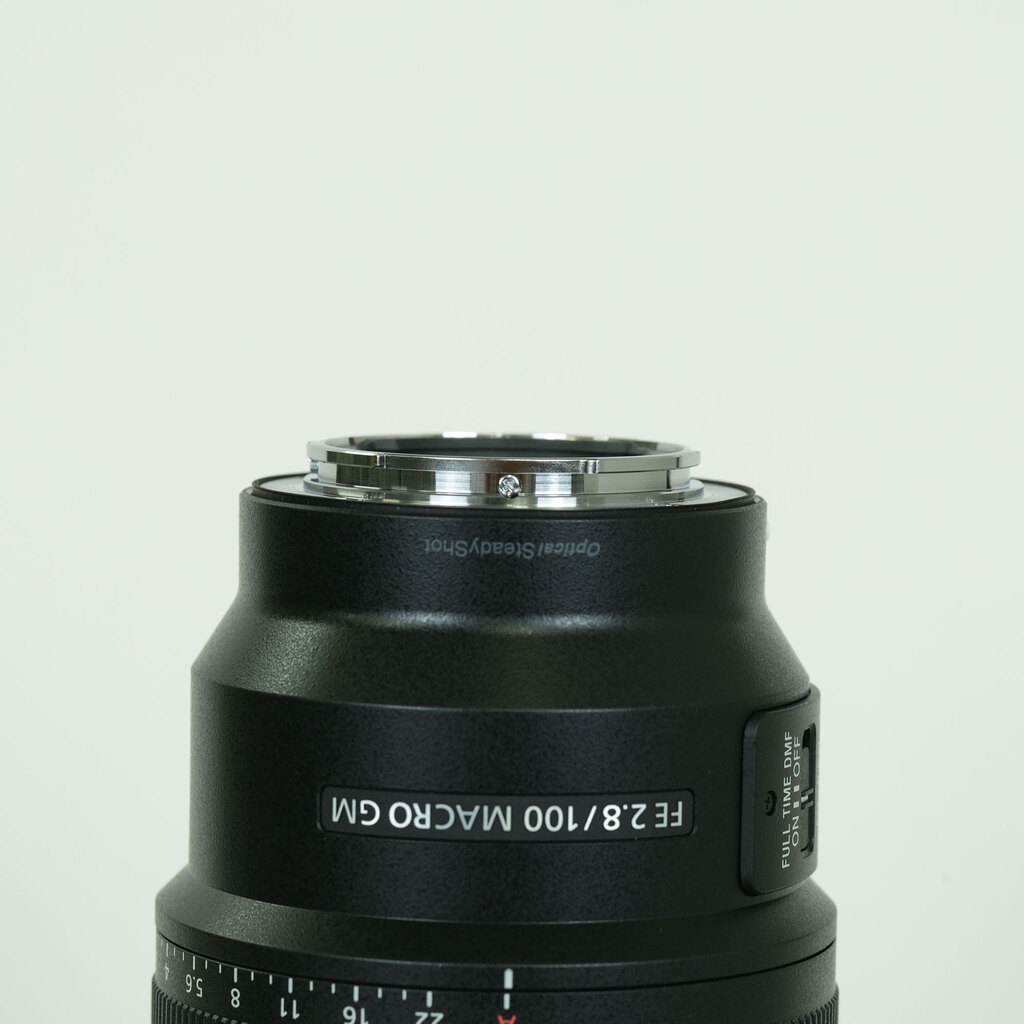 SONY FE 100mm F2.8 Macro GM OSS SEL100M28GM