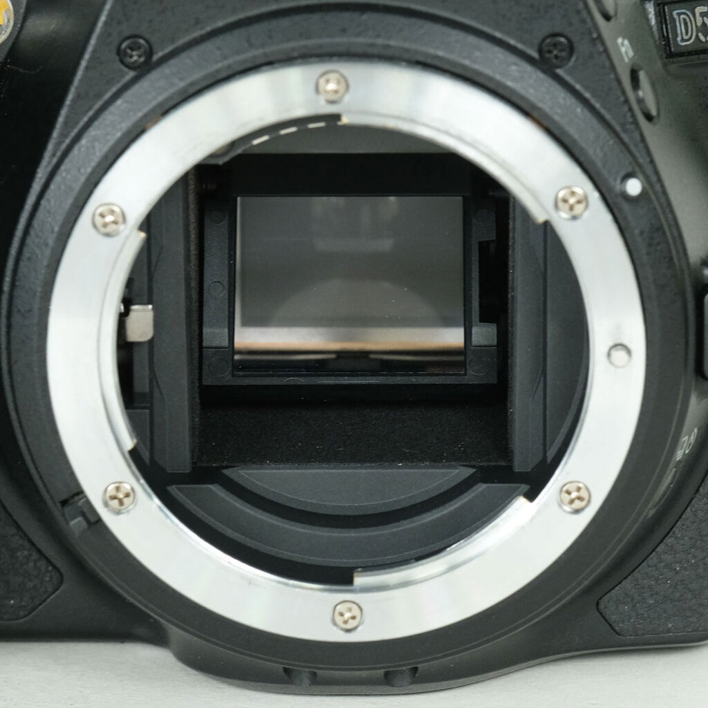 Nikon D5600