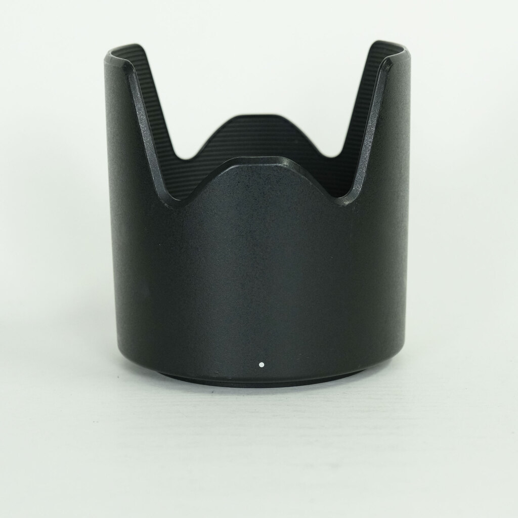 TAMRON SP 70-300mm F4-5.6 Di VC USD/Model A005NII(ニコン用)