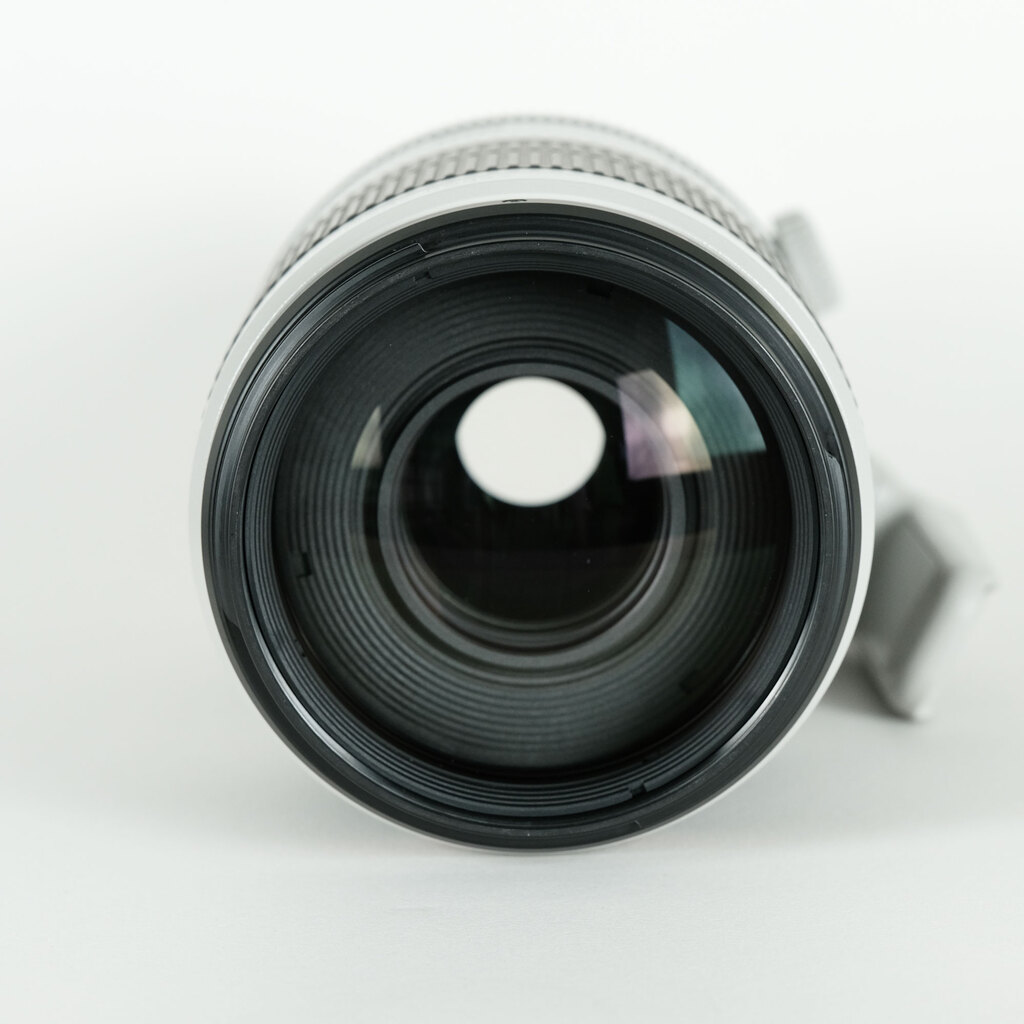 Canon EF100-400mm F4.5-5.6L IS II USM