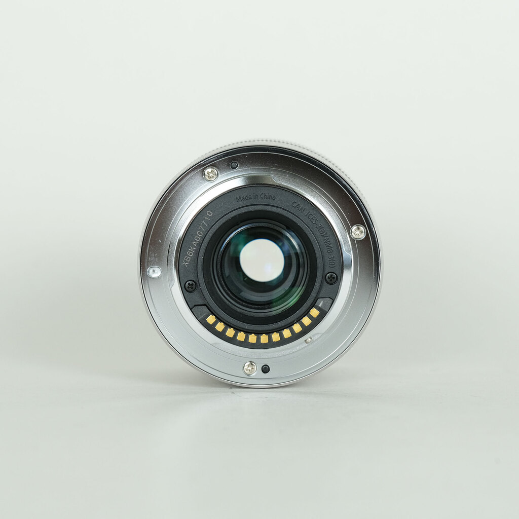 Panasonic LUMIX G VARIO 35-100mm / F4.0-5.6 ASPH. / MEGA O.I.S.