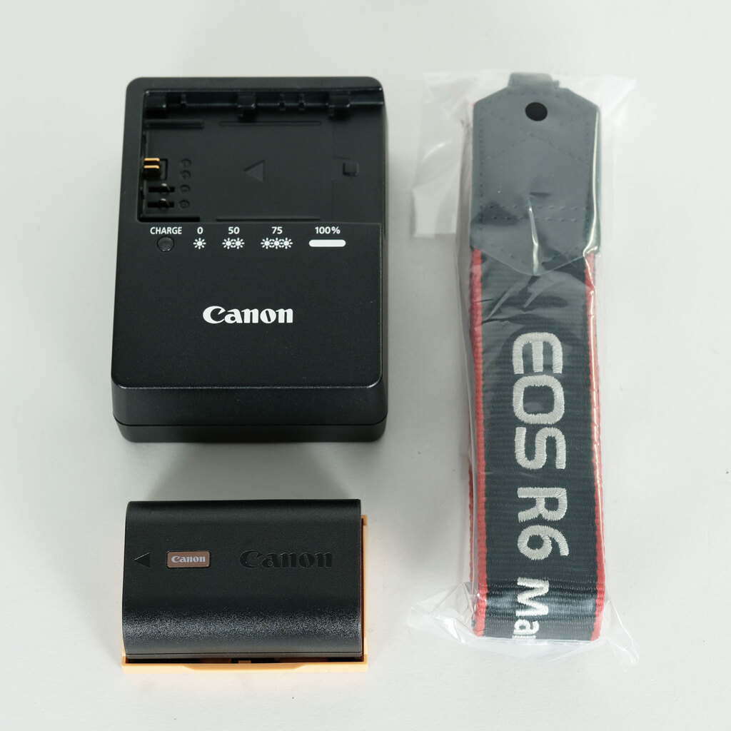 Canon EOS R6 Mark II