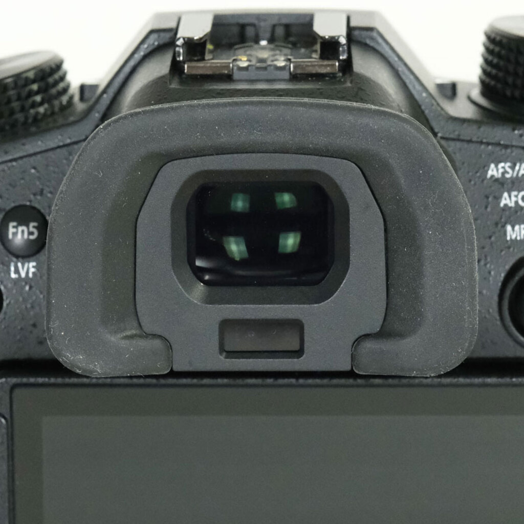 Panasonic LUMIX DC-GH5