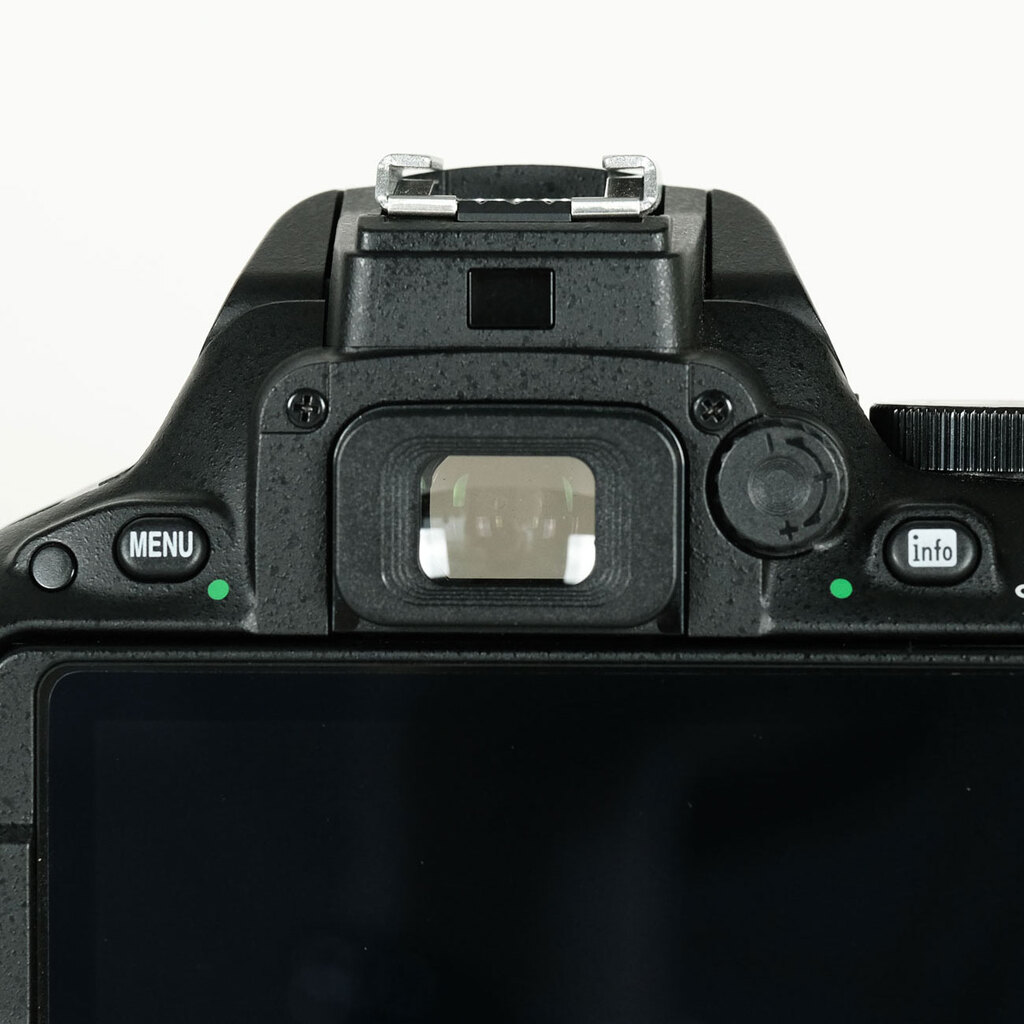 Nikon D5500