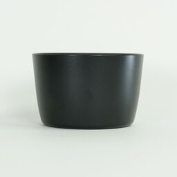 Canon EF-S55-250mm F4-5.6 IS Canon EF-S55-250mm F4-5.6 IS