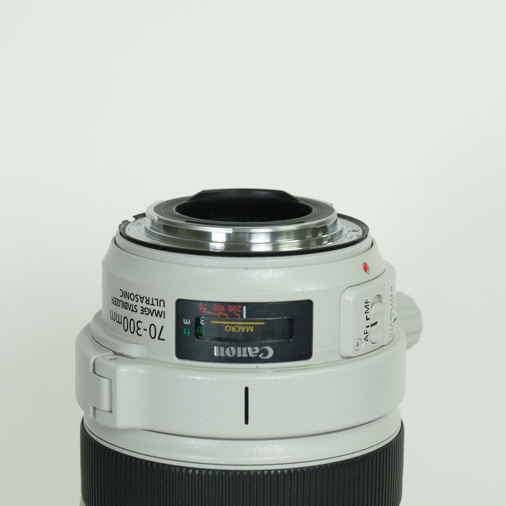 Canon EF70-300mm F4-5.6L IS USM