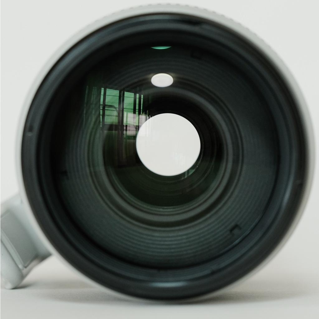 Canon EF100-400mm F4.5-5.6L IS II USM