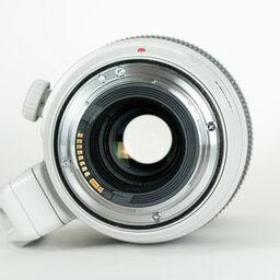 Canon EF100-400mm F4.5-5.6L IS II USM