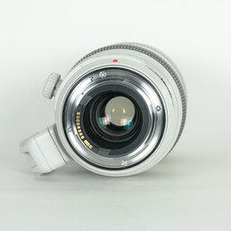 Canon EF100-400mm F4.5-5.6L IS II USM