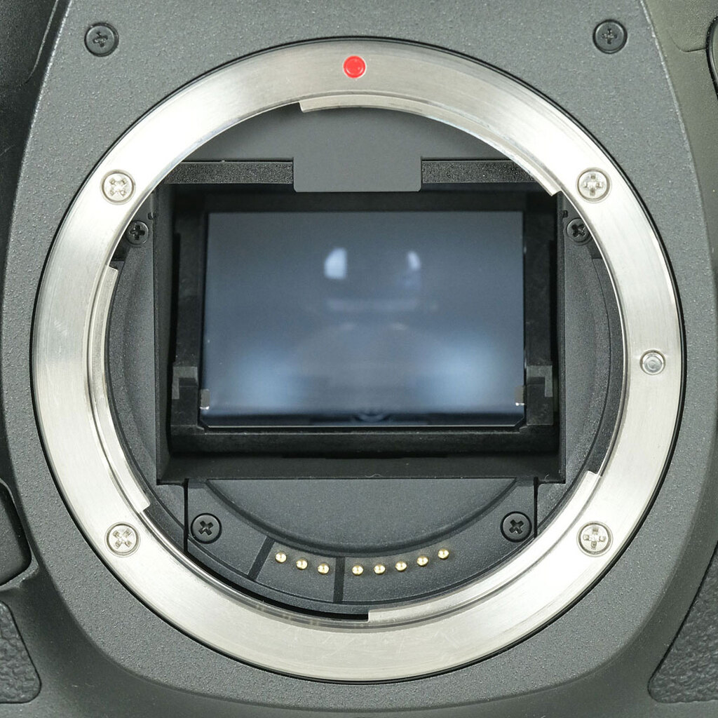 Canon EOS 5Ds / 5DsR